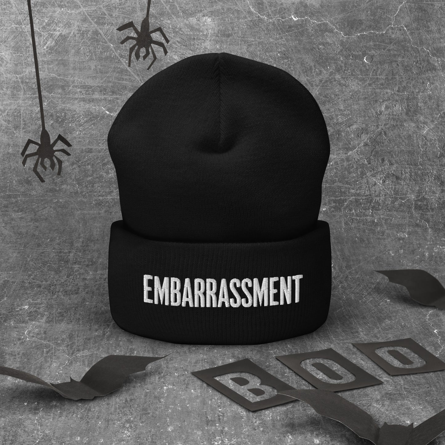 Mission 11 "Embarrassment" Beanie – Purposeful Living Fashion from Atlanta | Panda-Inspired Strength and Balance