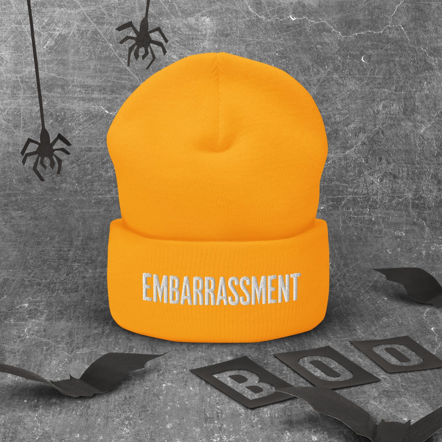 Mission 11 "Embarrassment" Beanie – Purposeful Living Fashion from Atlanta | Panda-Inspired Strength and Balance